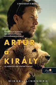 Artúr a király (filmes borító)